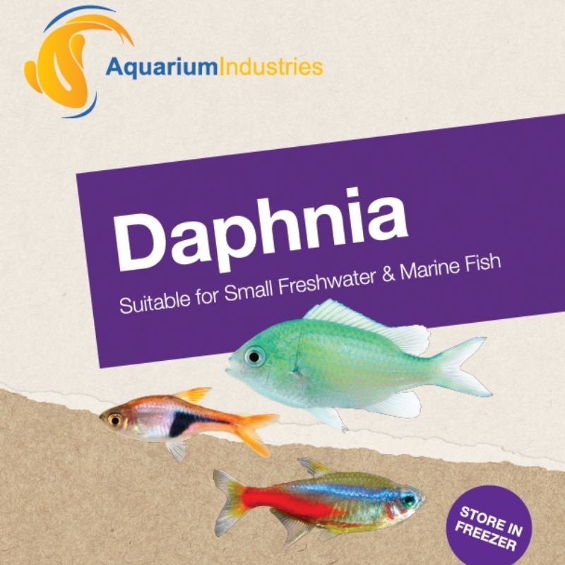Frozen Daphnia (100g)