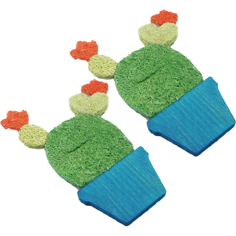 A&E Nibbles Loofah Potted Cactus Chew