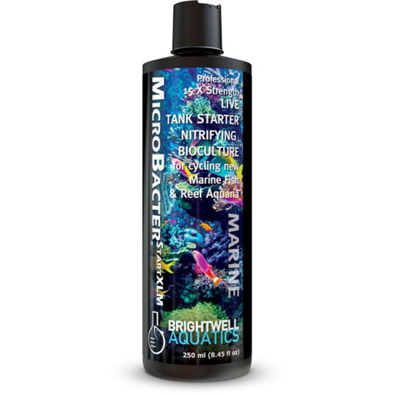 Brightwell Aquatics MicroBacter Start XLM