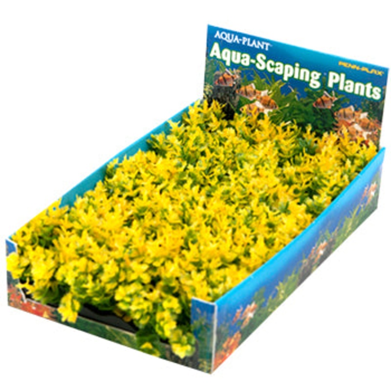 Penn Plax Bunch Plant Yellow Small