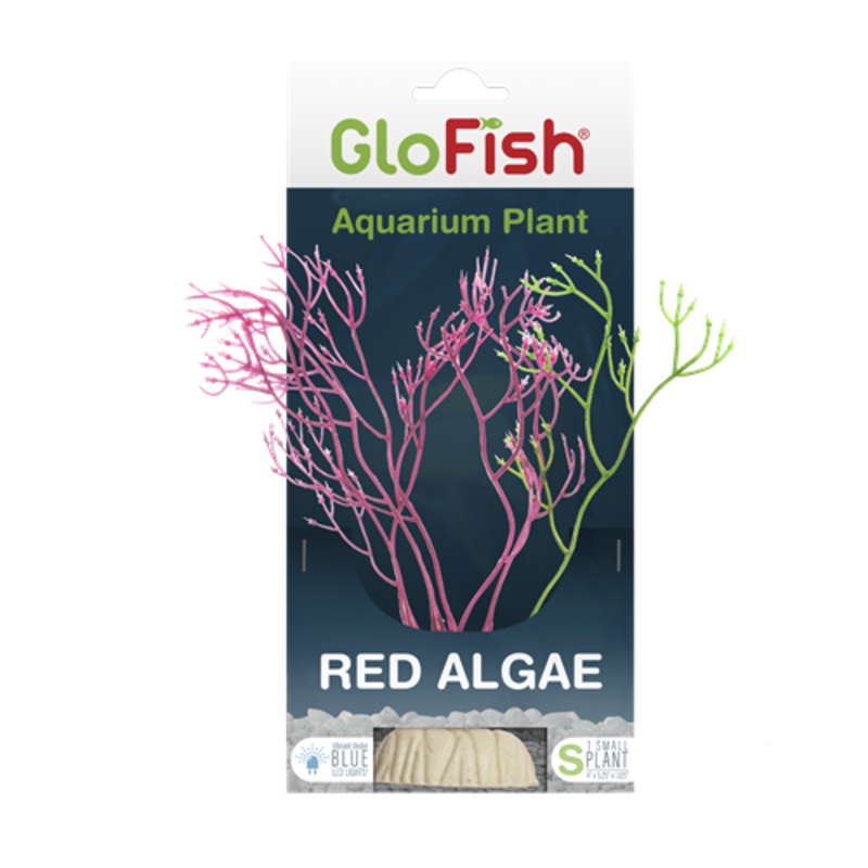 Tetra GloFish Red Algae Aquarium Plant