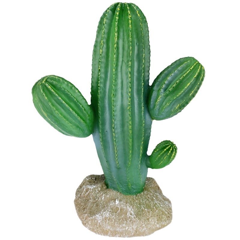 Komodo Saguaro Cactus