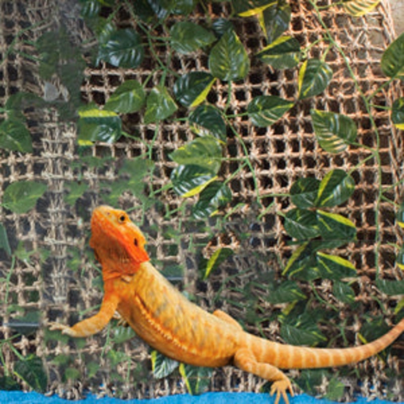 Penn Plax Lizard Lounger with Vines