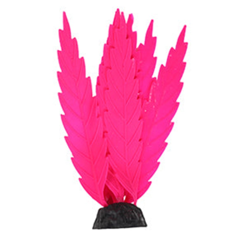 Penn Plax Flow Plant Caulerpa Pink 5.5 inch