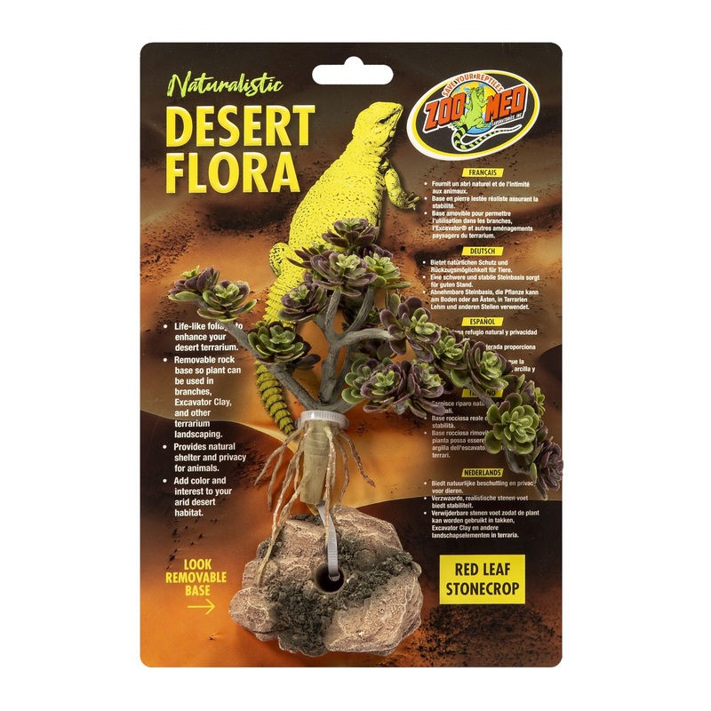 Zoo Med Naturalistic Desert Flora Red Leaf Stonecrop Plant
