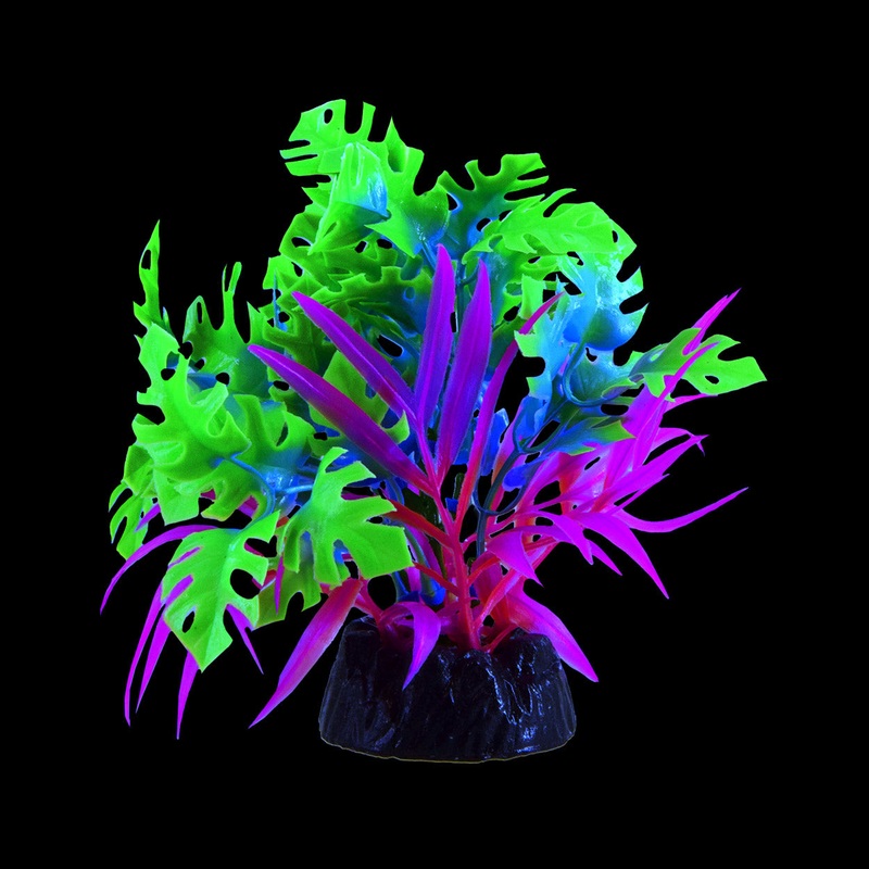Underwater Treasures Glo Anubias Blue Plant Small