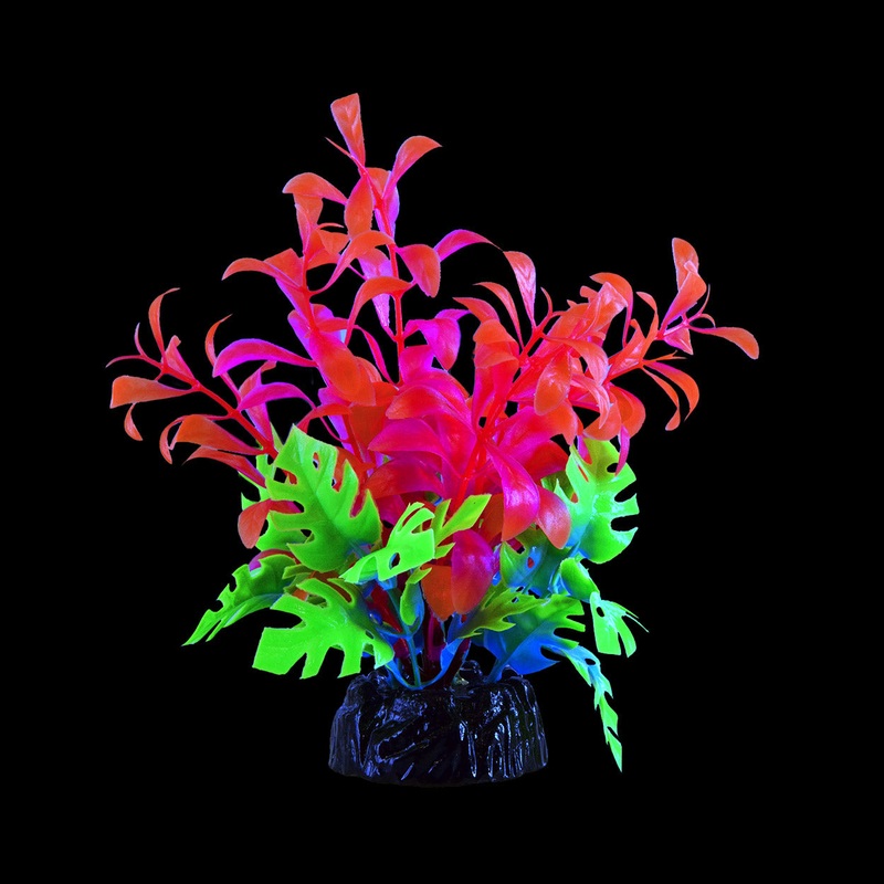 Underwater Treasures Glo Bacopa Pink Plant Small