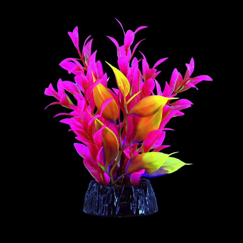 Underwater Treasures Glo Hygro Pink Plant Small
