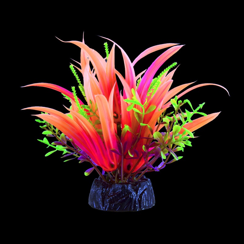 Underwater Treasures Glo Japonica Pink Plant Small