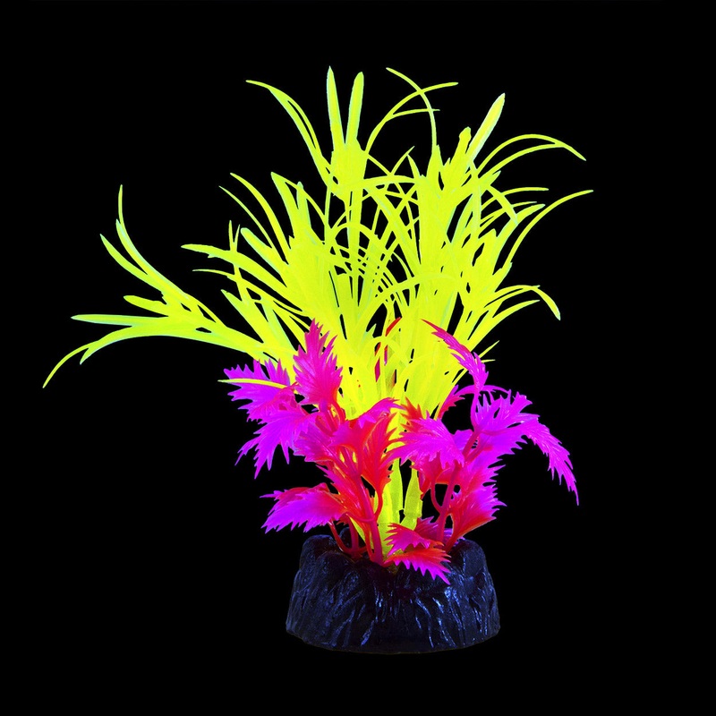 Underwater Treasures Glo Star Grass Green Plant Small