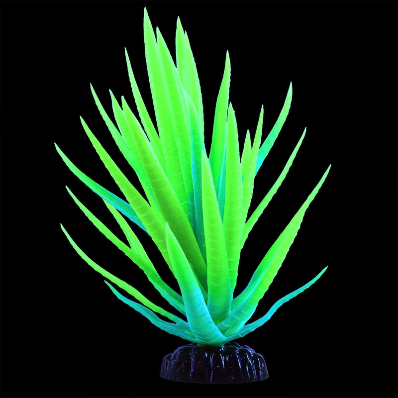 Underwater Treasures Glow Agave Plant