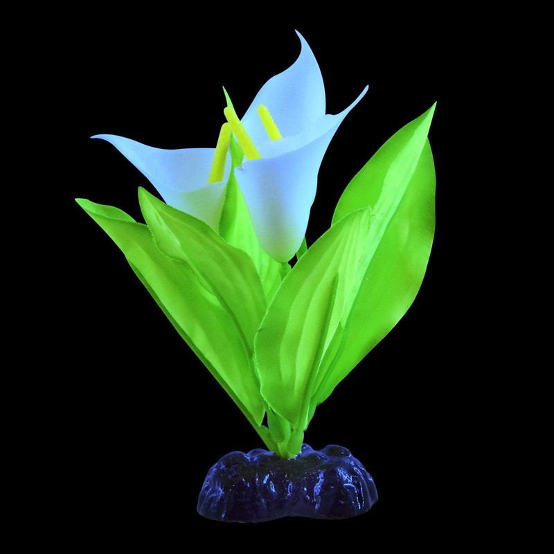 Underwater Treasures Glow Broadleaf Lily