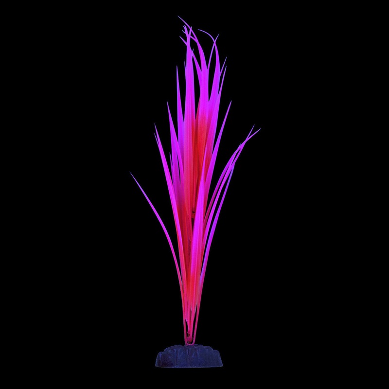 Underwater Treasures Glow Sagittaria Pink