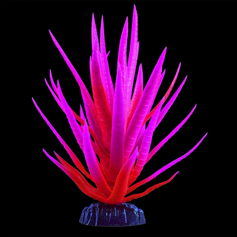 Underwater Treasures Glow Yucca Pink Plant Medium