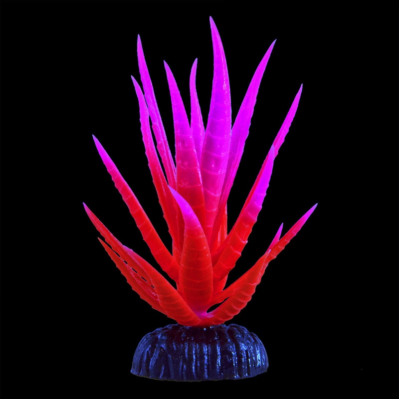 Underwater Treasures Glow Yucca Pink Plant Small