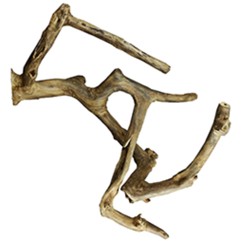 A&E Cage Java Wood Multi Branch Perch Medium