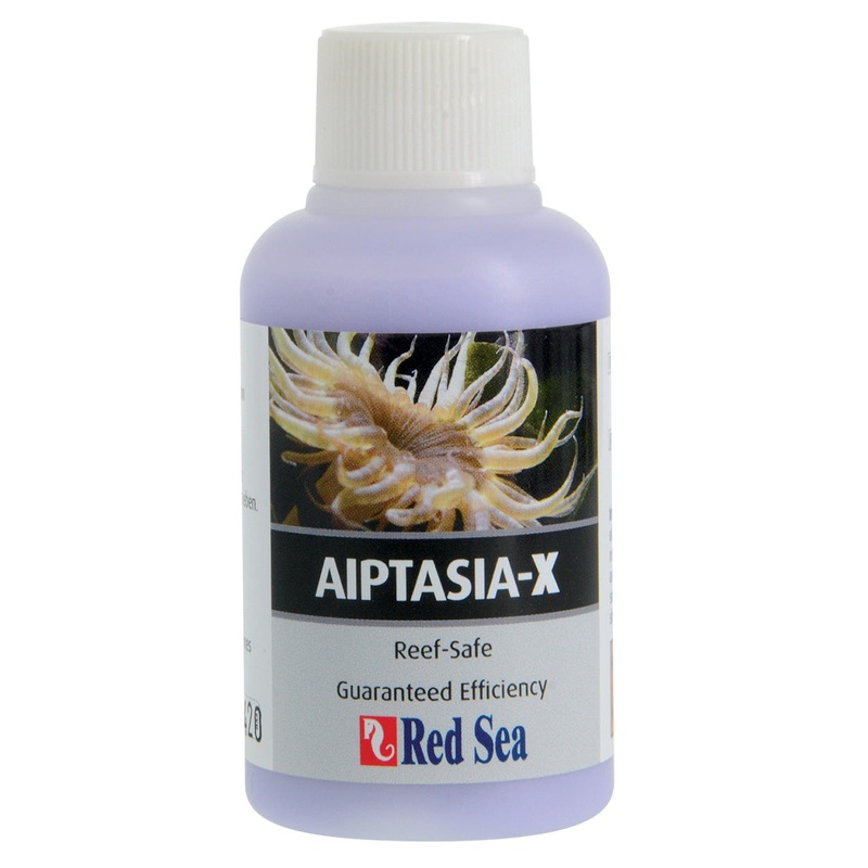 Red Sea Aiptasia-X 60 ml Bottle