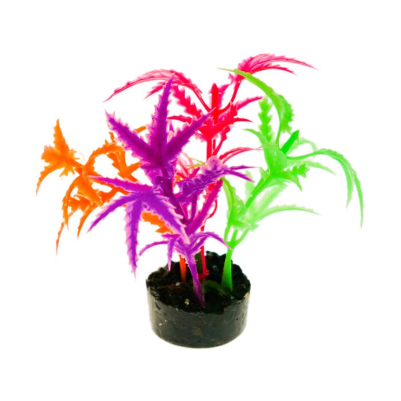 Blue Ribbon Colorburst Florals Jagged Sword Multi
