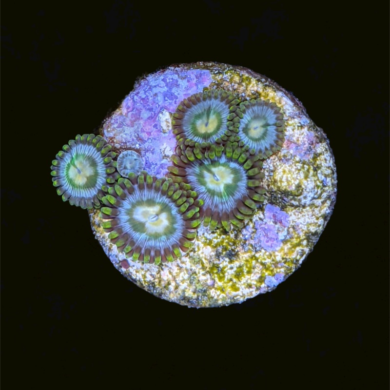 John Deere Zoa Frag