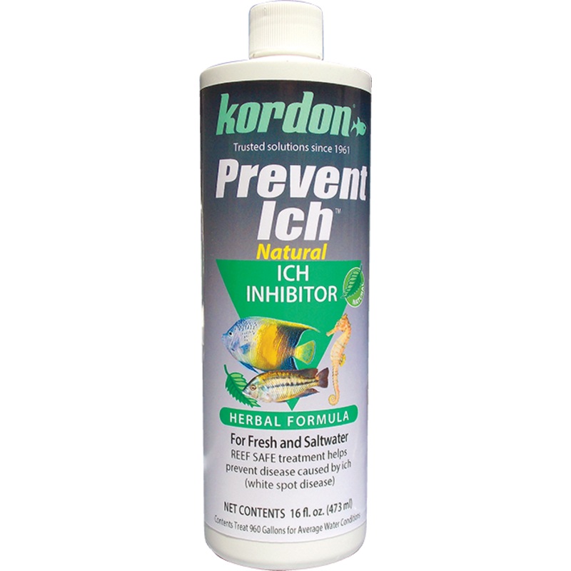 Kordon Prevent Ich 16 oz.
