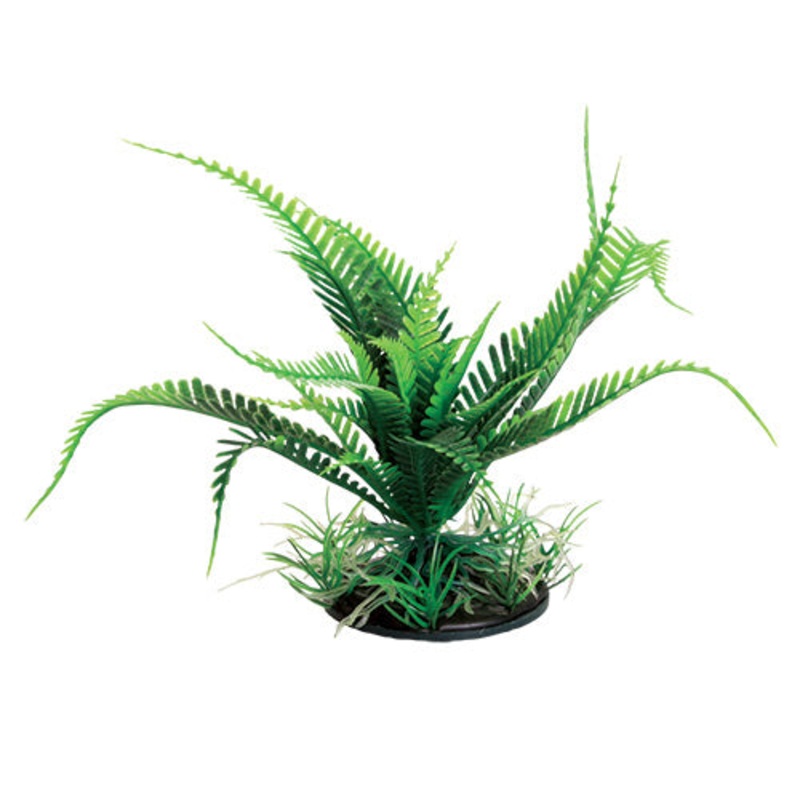 Underwater Treasures Weeping Fern Green 6 inch