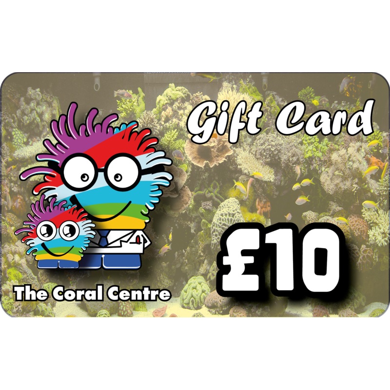 Gift Voucher 10