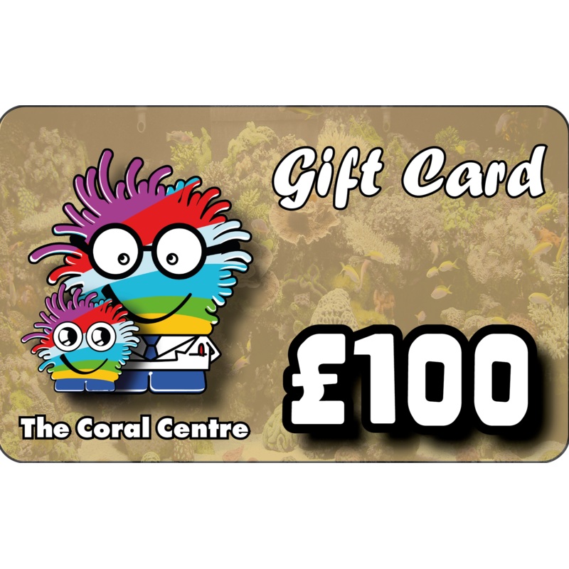 Gift Voucher 100