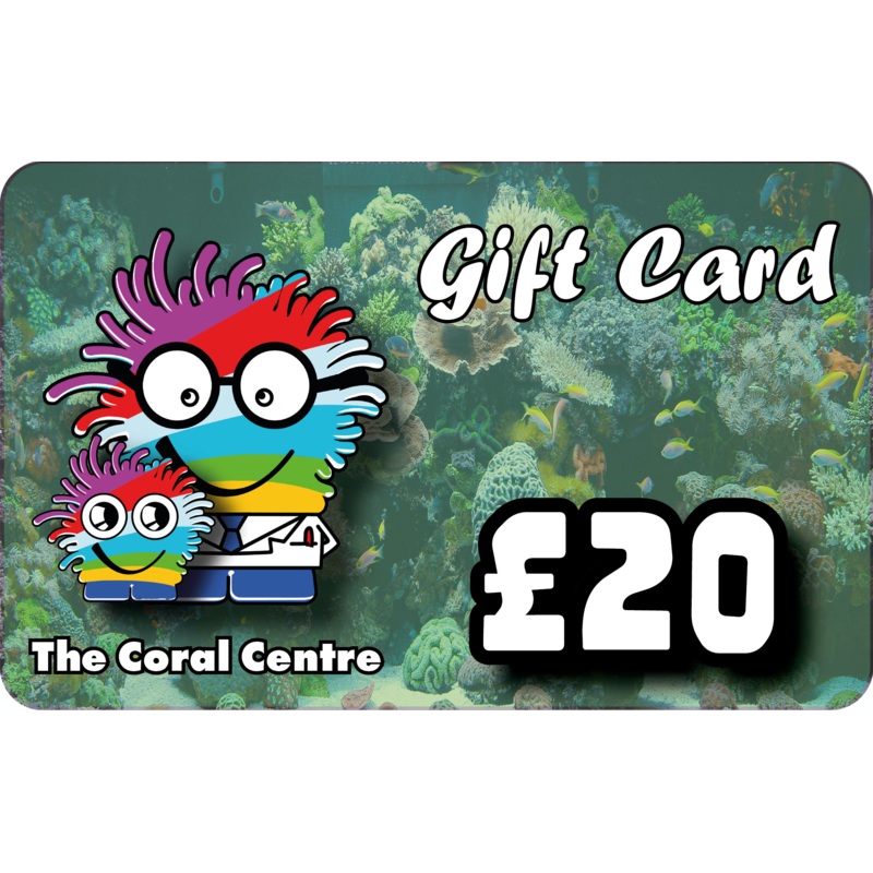 Gift Voucher 20