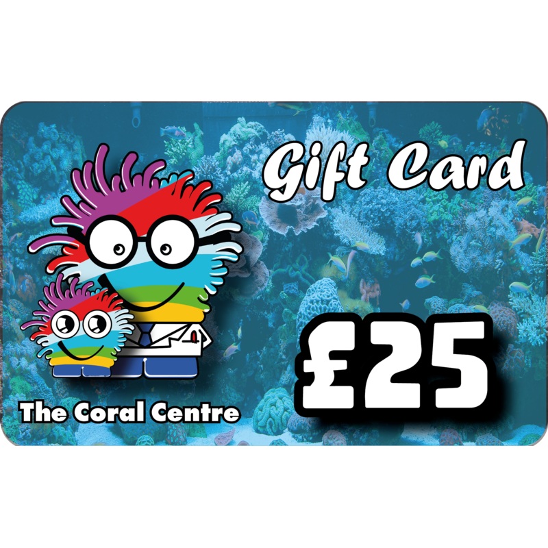 Gift Voucher 25
