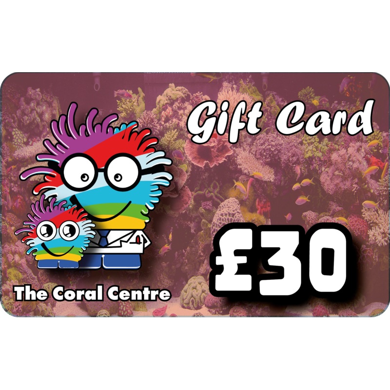 Gift Voucher 30