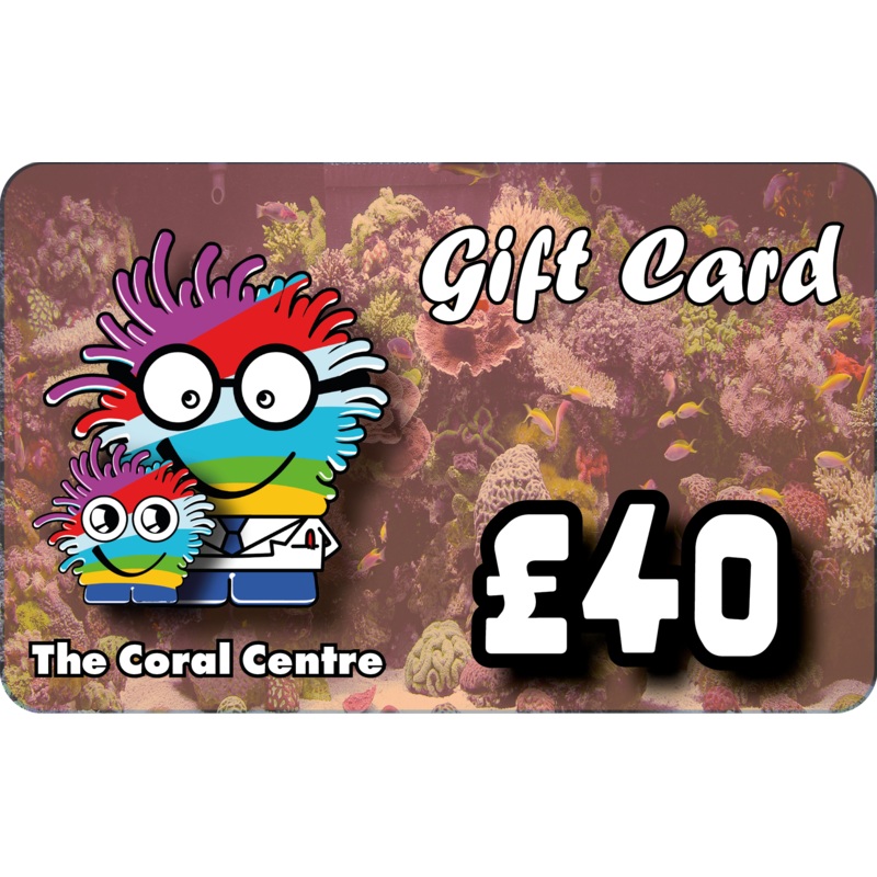 Gift Voucher 40