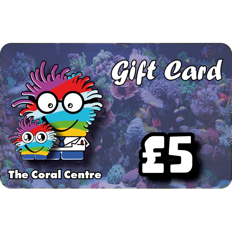 Gift Voucher 5