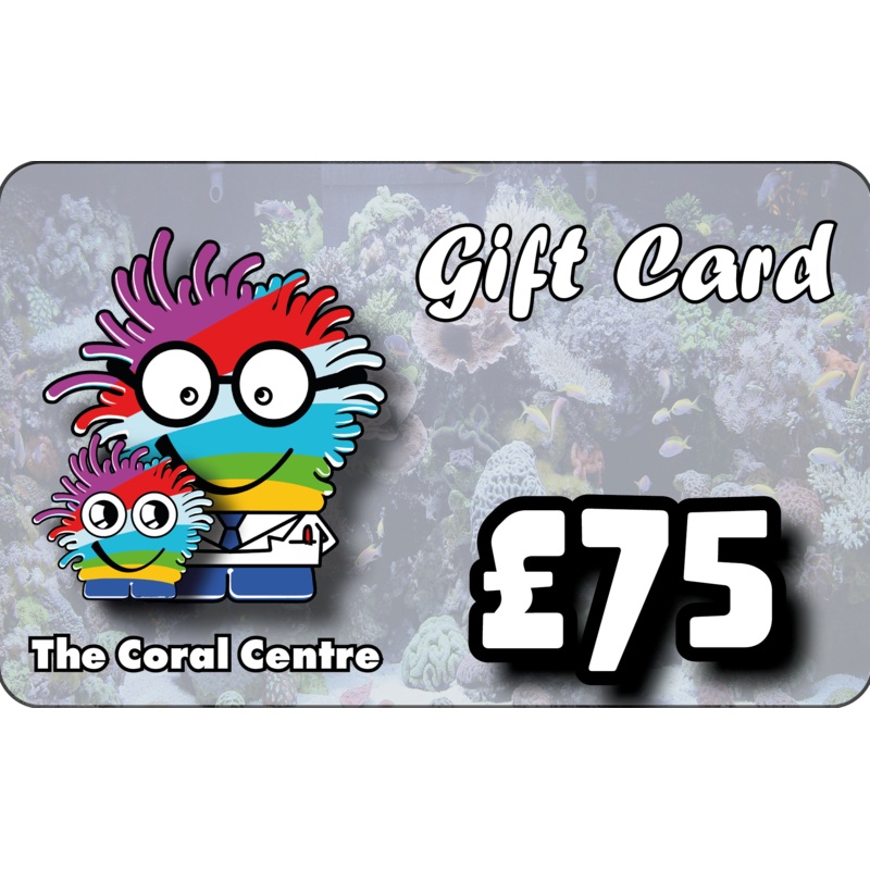 Gift Voucher 75