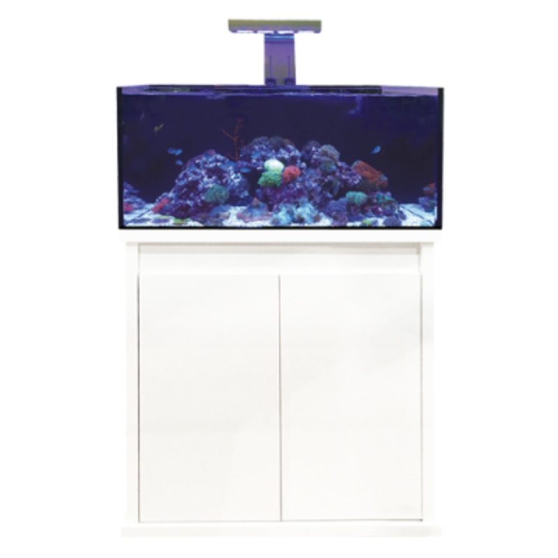 D-D Reef-Pro 900