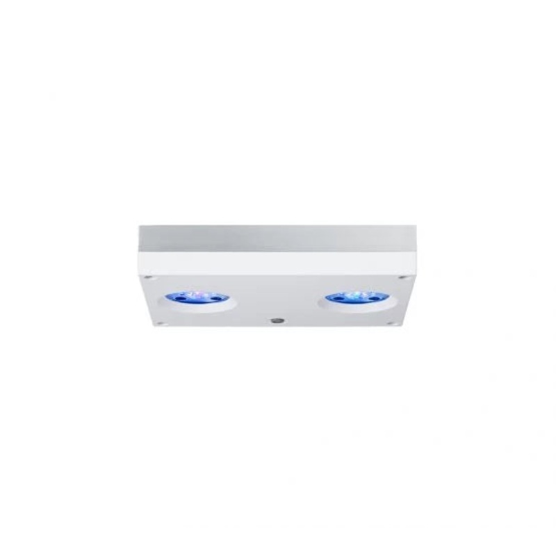 D-D AI Hydra 32HD LED Lighting - White