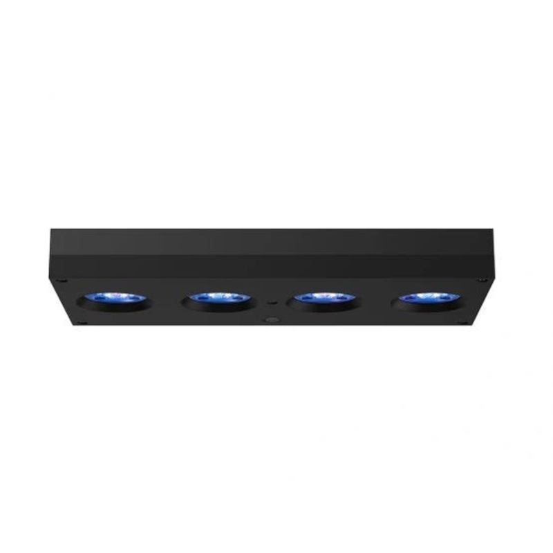 D-D AI Hydra 64HD LED Lighting - Black