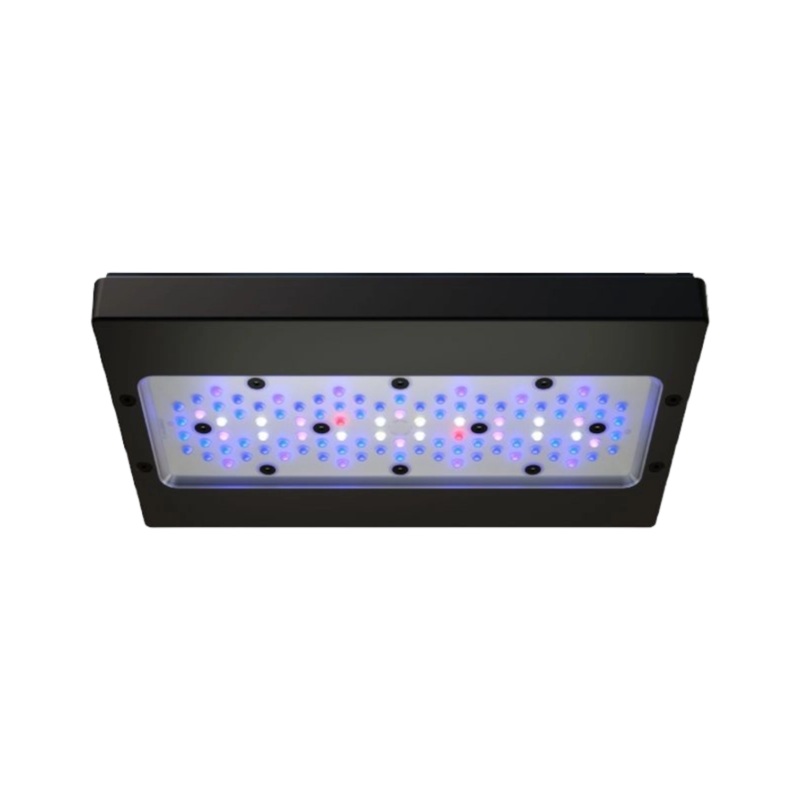 Ecotech Radion G6 XR30 Blue And RMS Tank Mount System