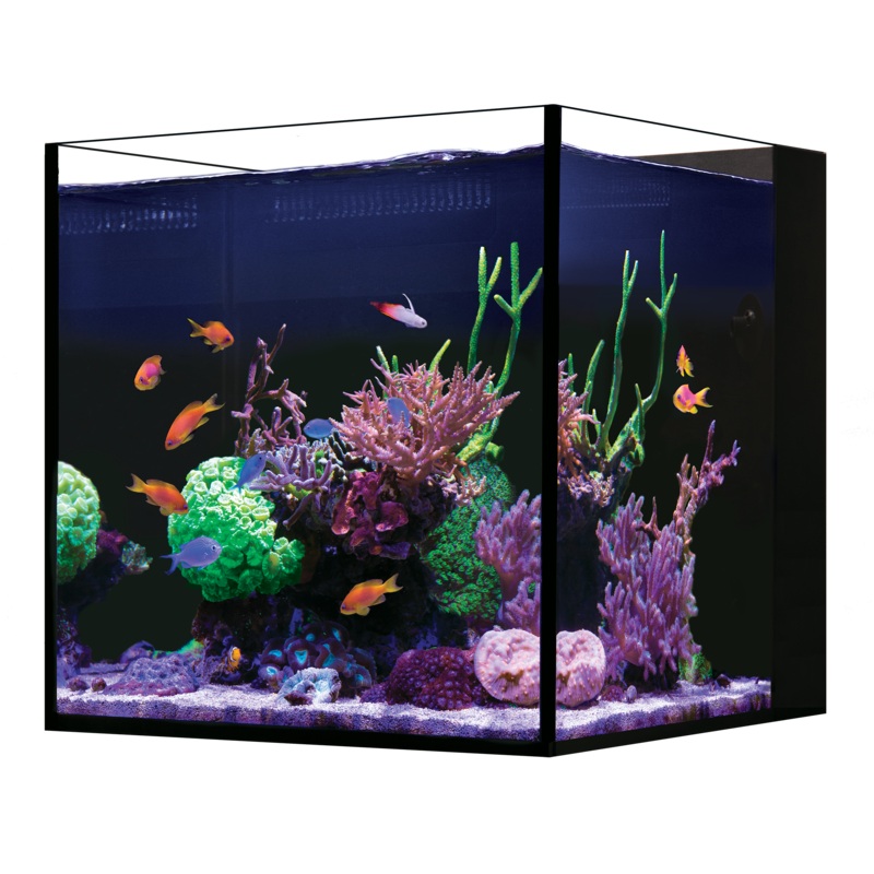 Red Sea Desktop NANO Cube Aquarium