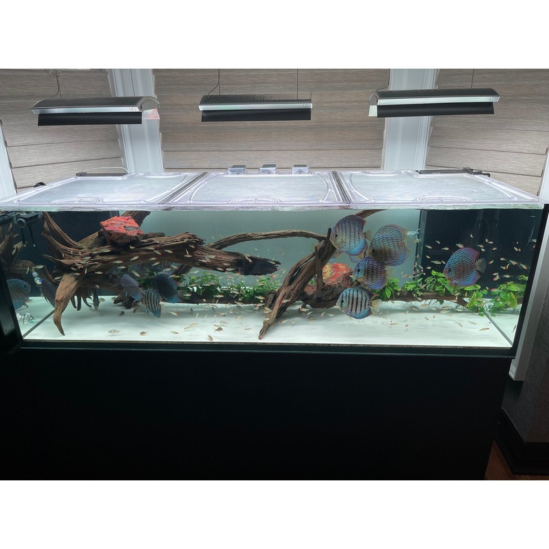 Elos Diamond Line 200 (180 Gallons) Custom Polycarbonate Aquarium Screen Top Lid