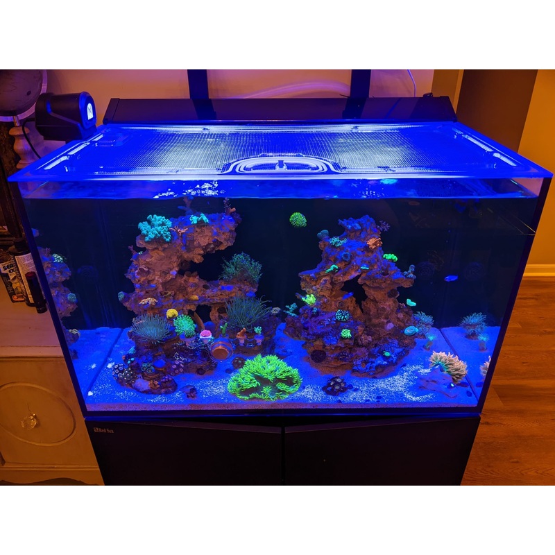 Red Sea Max-E 260 G1 and G2+ Custom Polycarbonate Aquarium Screen Top Lid
