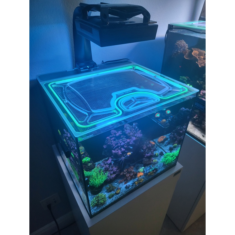 Waterbox AIO 10 Cube Custom Polycarbonate Aquarium Screen Top Lid