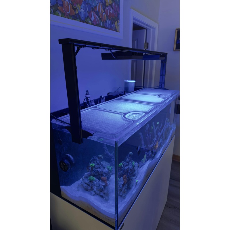 Waterbox AIO 50.3 Custom Polycarbonate Aquarium Screen Top Lid