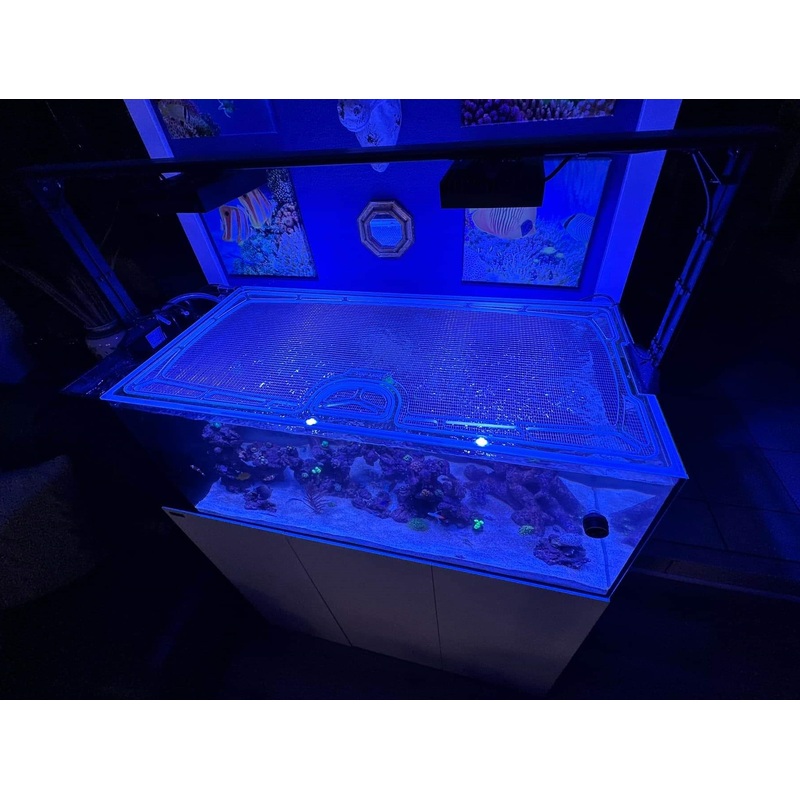 Waterbox AIO Peninsula 50.3 Custom Polycarbonate Aquarium Screen Top Lid