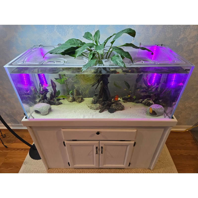 Waterbox Clear 7225 Custom Polycarbonate Aquarium Screen Top Lid