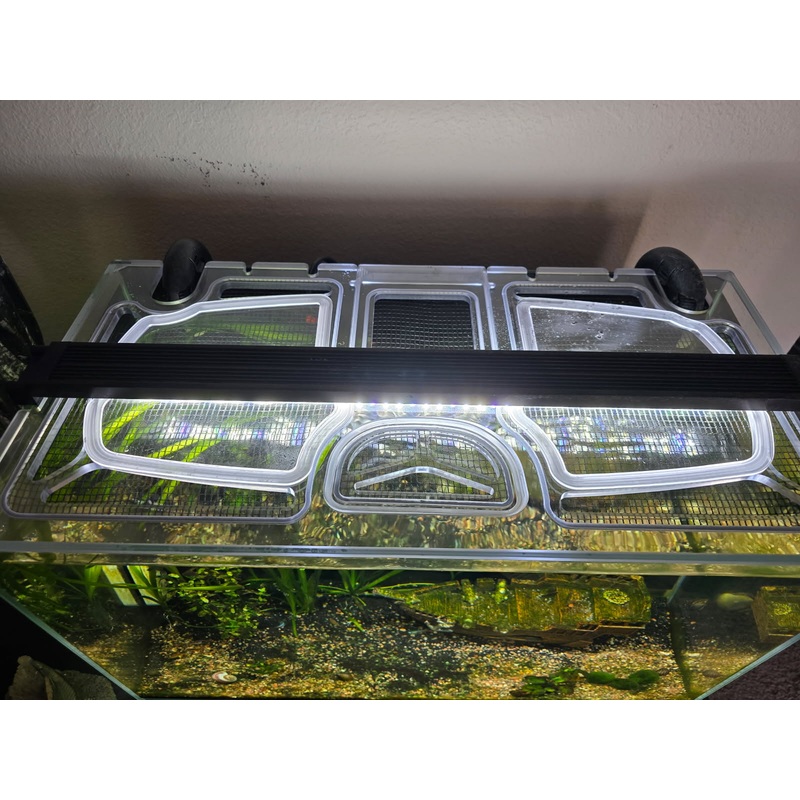 Waterbox Clear Mini 6 Custom Polycarbonate Aquarium Screen Top Lid