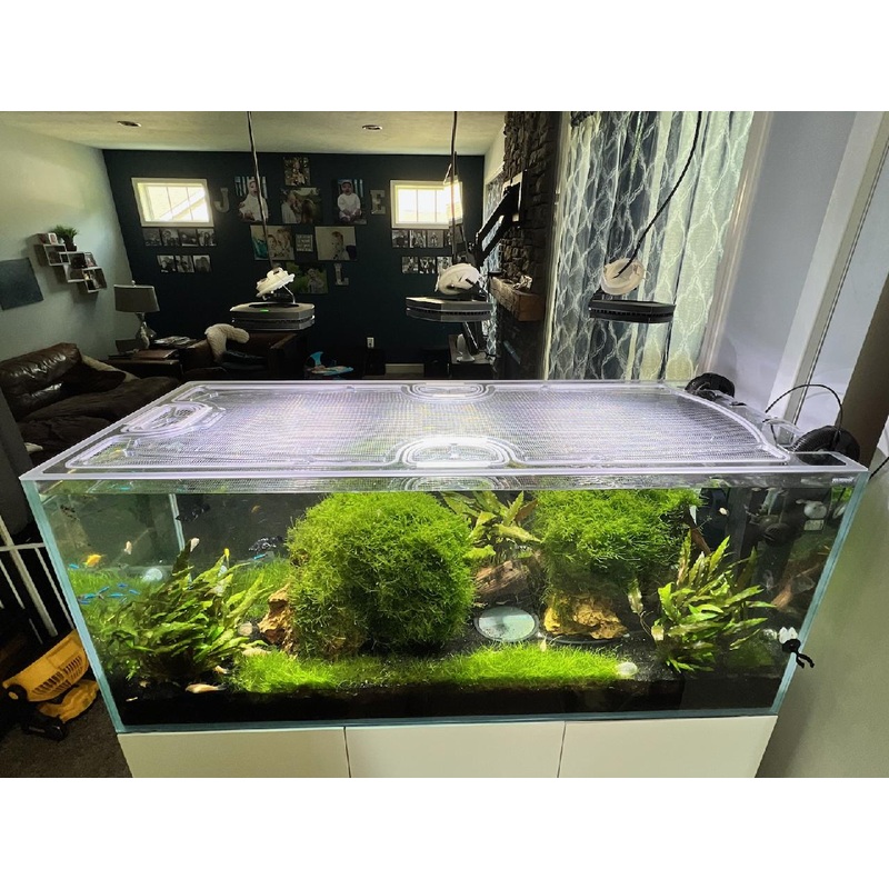 Waterbox Clear Peninsula 4820 Custom Polycarbonate Aquarium Screen Top Lid