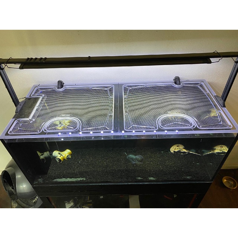 Waterbox Clear Peninsula 6025 Custom Polycarbonate Aquarium Screen Top Lid