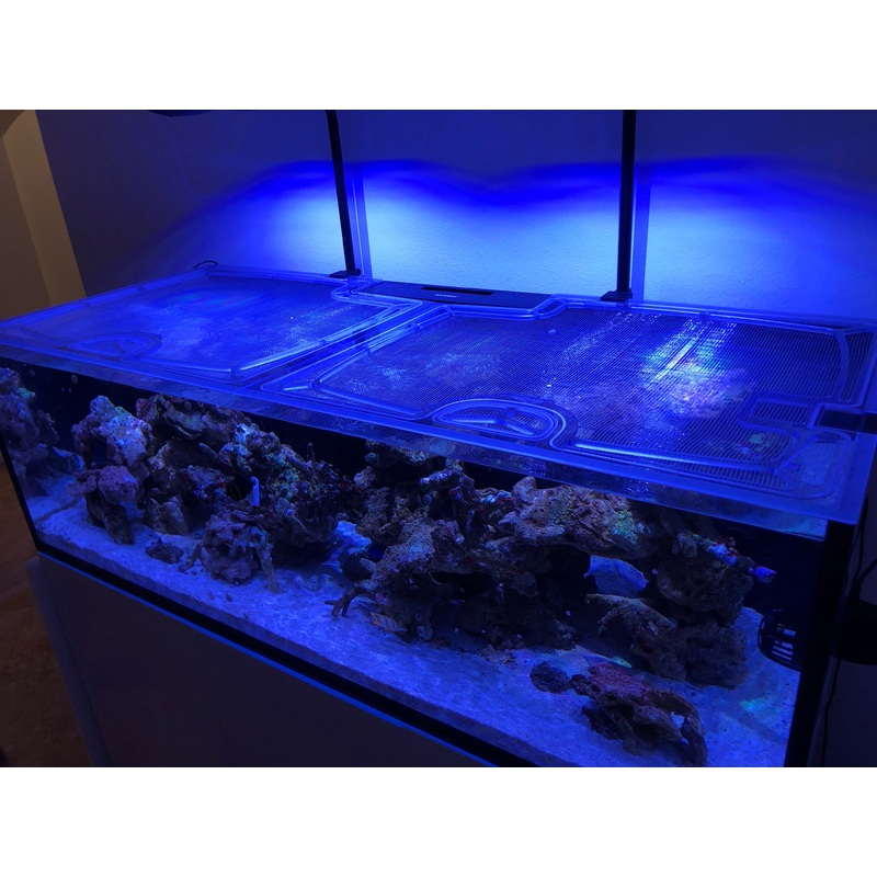 Waterbox Reef LX 270.6 Rimless Custom Polycarbonate Aquarium Screen Top Lid