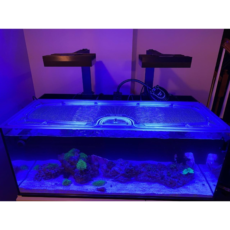 Cobalt C-Vue 45 Gallon Custom Polycarbonate Aquarium Screen Top Lid