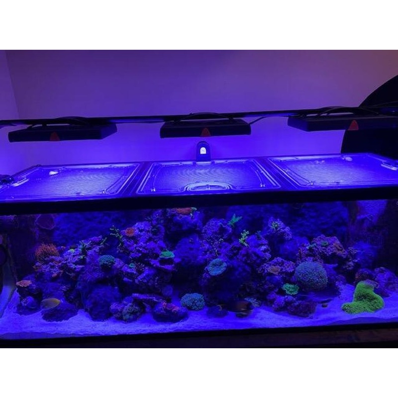 Marineland 180 Gallon (72 x 24 x 24") Double Corner Overflow Custom Polycarbonate Aquarium Screen Top Lid